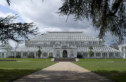 Temperate House 0